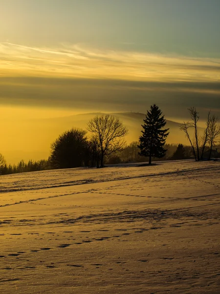 Winter evening — Stock Photo, Image