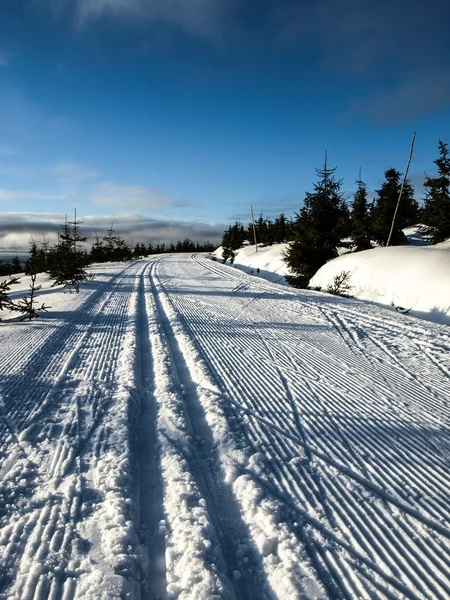 Cross country skiing — Stock Photo, Image