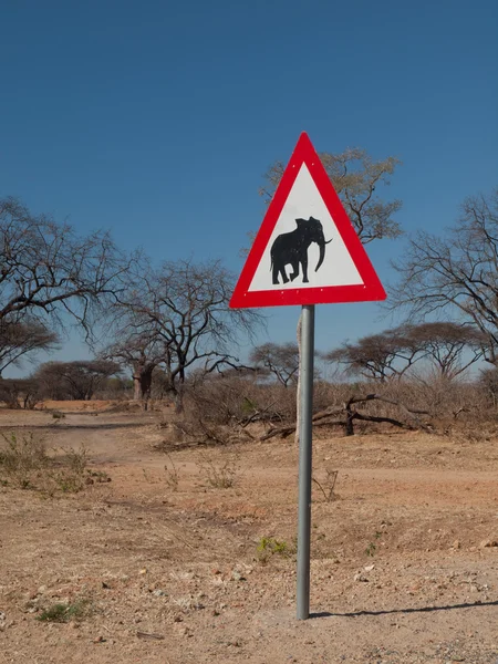 Vorsicht vor Elefanten — Stockfoto