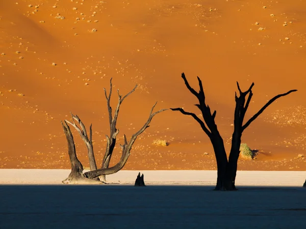 A manhã está chegando em Sossusvlei — Fotografia de Stock