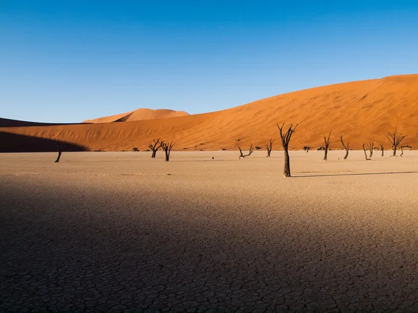 Arriva il nuovo giorno a Sossusvlei — Foto Stock