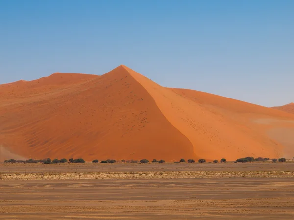 Duna vermelha do deserto de Namid — Fotografia de Stock
