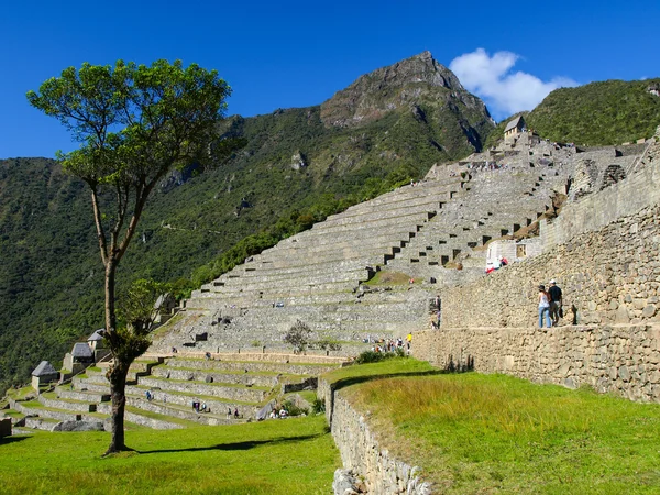 Ruinas de Machu Picchu —  Fotos de Stock