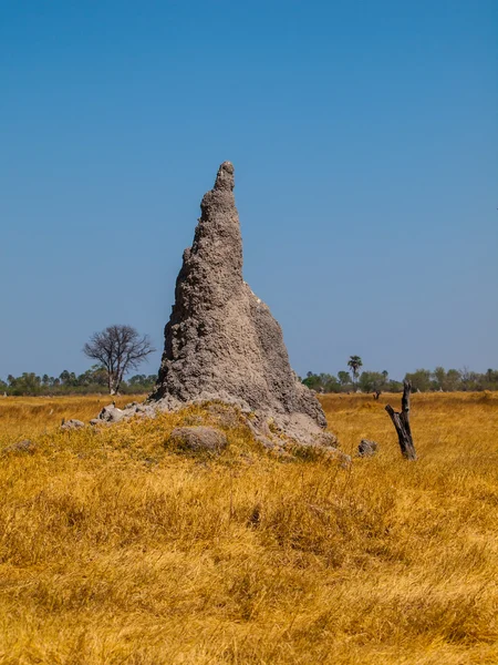 Termitenhügel in der Okavango-Region — Stockfoto