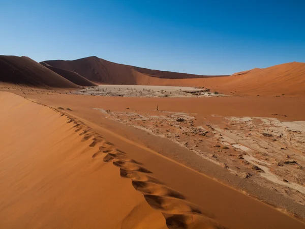 Pegadas na areia das dunas vermelhas do deserto do Namib — Fotografia de Stock