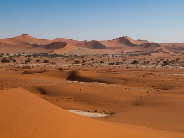 Dunas vermelhas do deserto de Namid — Fotografia de Stock