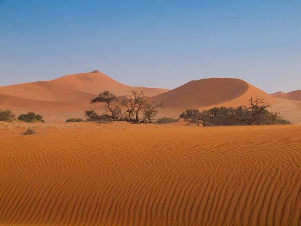 Dune rouge du désert Namide — Photo