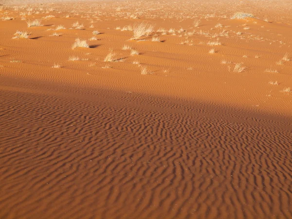 Röd sand i namid öken — Stockfoto