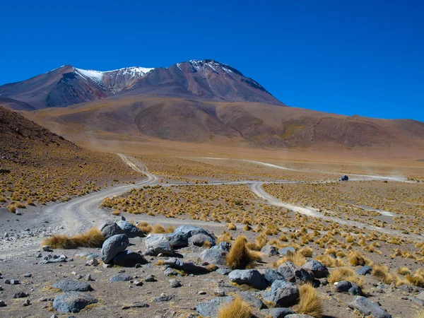 Altiplano의 먼지 투성이로 — 스톡 사진