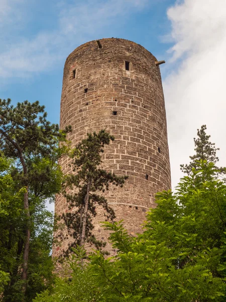 Torre redonda do castelo de Zebrak — Fotografia de Stock
