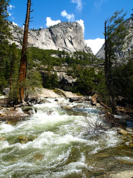 Fiume selvaggio nel Parco Nazionale dello Yosemite — Foto Stock