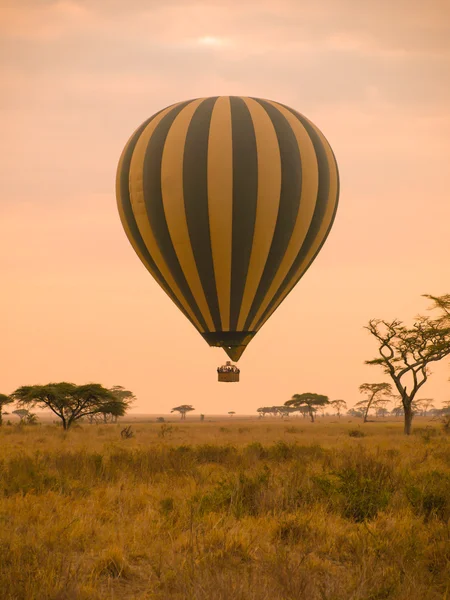 Hot air balloon in Africa Stock Image