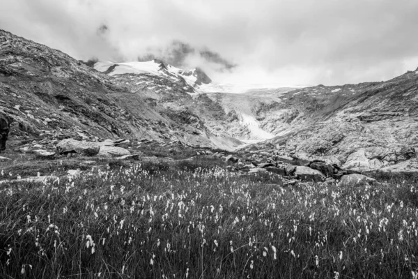 Krajobraz górski z łąką trawiastą i lodowcem — Zdjęcie stockowe