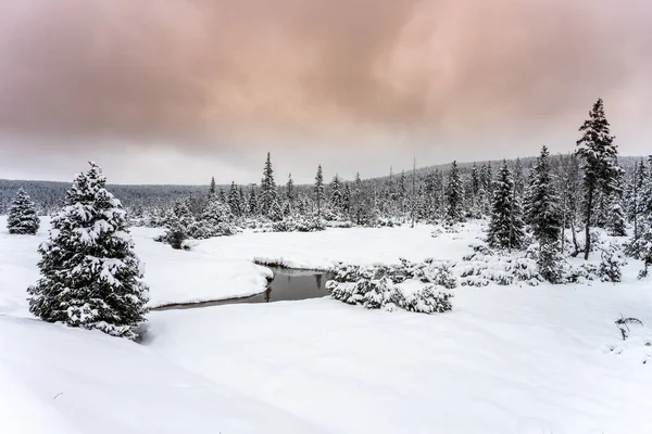 Paisagem nevada com árvores e pequeno riacho — Fotografia de Stock