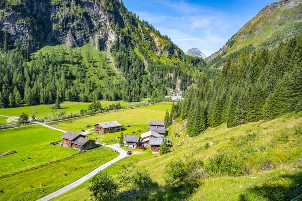 Ferme Idyllique Pâturage Verdoyant Dans Vallée Alpine Hohe Tauern Alpes — Photo