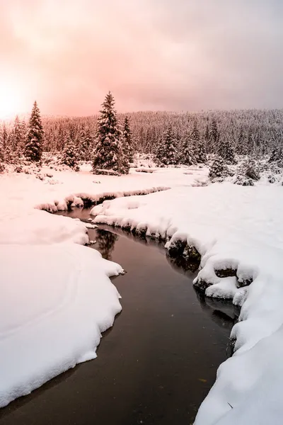 Paisagem nevada com árvores e pequeno riacho — Fotografia de Stock
