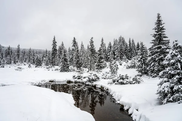 Vintern Jizera Bergen Snöigt Landskap Med Träd Och Liten Bäck — Stockfoto