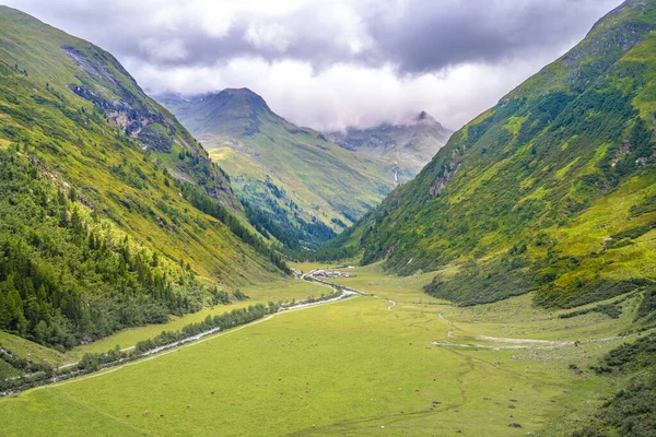 Grön Äng Alpin Dal Gschlosstal Valley Hohe Tauern Nationalpark Östtyrolen — Stockfoto