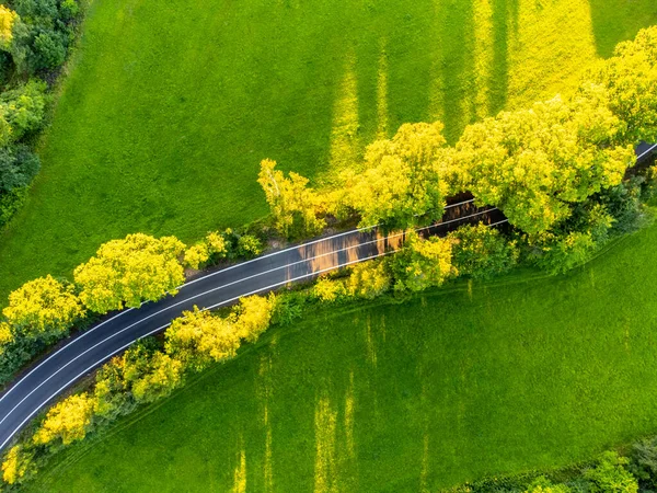 Asfalterad väg i landsbygdslandskapet ovanifrån — Stockfoto