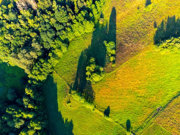 Verdeggiante paesaggio naturale con alberi e prati — Foto Stock