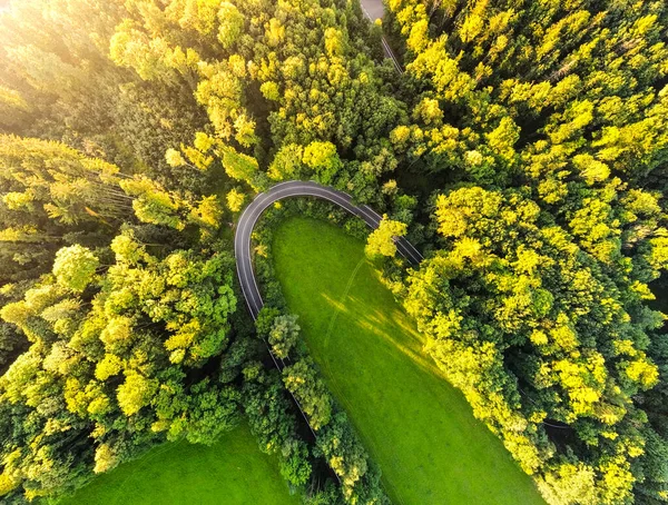 Carretera serpentina en el bosque desde arriba —  Fotos de Stock