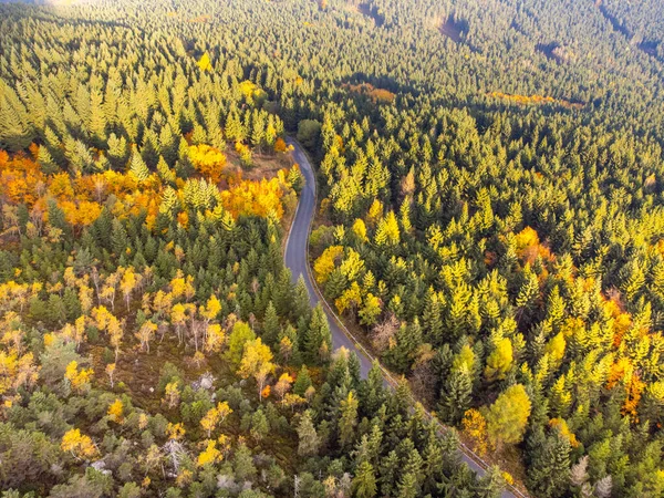 Tiempo de otoño bosque colorido y carretera asfaltada estrecha —  Fotos de Stock