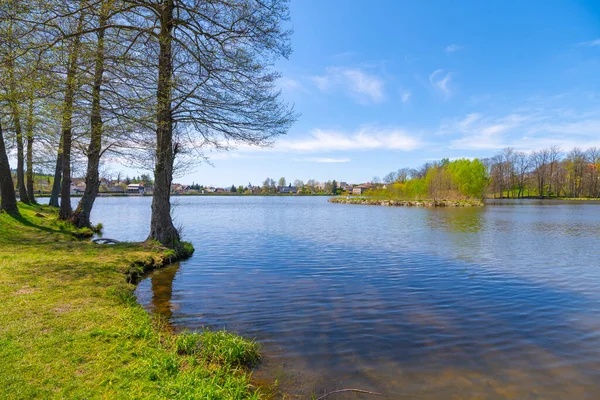 Rural pond on sunny spring day — Stock Photo, Image