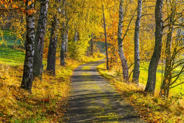 Narrow rural asphalt road in autumn time — Stock Photo, Image
