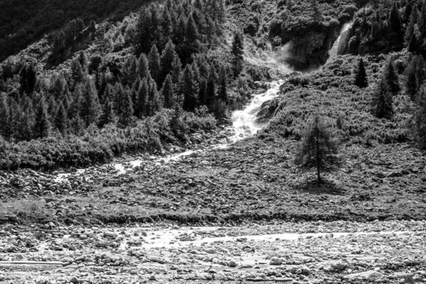 Wild alpine waterfall on mountain stream Stock Image
