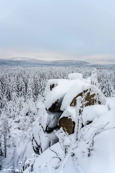 Paesaggio forestale invernale e masso di granito — Foto Stock