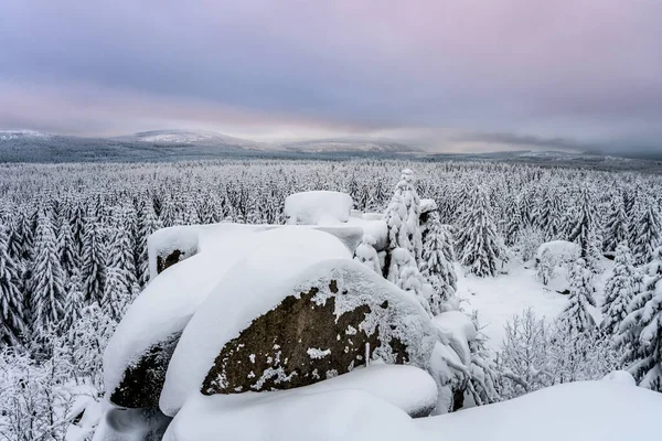 Zimní lesní krajina a žulový balvan — Stock fotografie