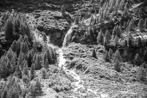 Wild alpine waterfall on mountain stream — Stock Photo, Image