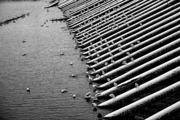 Vista dettagliata del frangiflutti in legno — Foto Stock