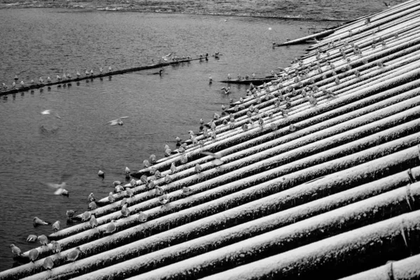 Vista dettagliata del frangiflutti in legno — Foto Stock