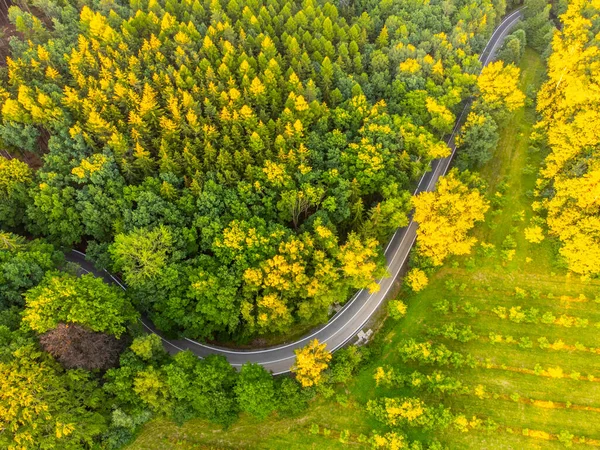 上から田園風景のアスファルト道路 — ストック写真