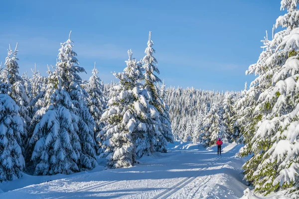 Běh na lyžích na slunném zimním dni — Stock fotografie