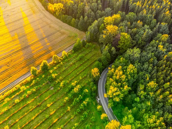 Route asphaltée dans le paysage rural d'en haut — Photo