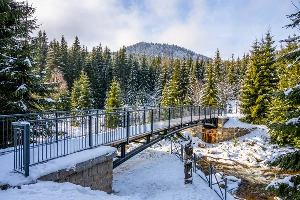 Puente peatonal sobre el río Jizera en invierno — Foto de Stock