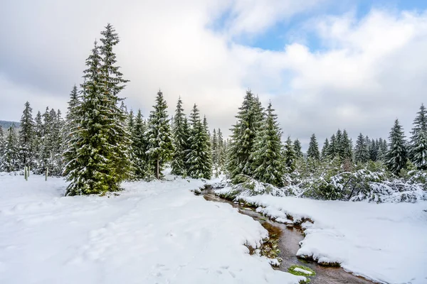 Paisagem de inverno de Montanhas Jizera — Fotografia de Stock
