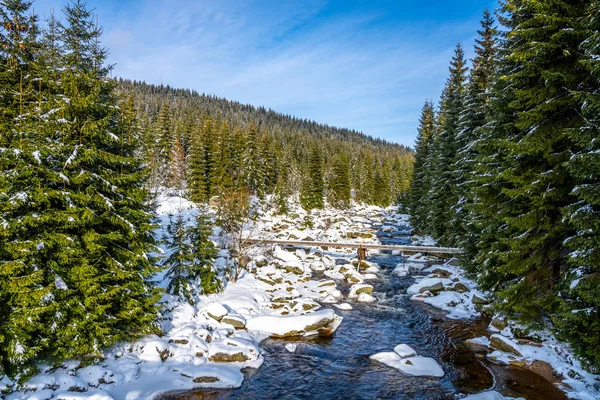 Jizera river in winter time — Stock Photo, Image