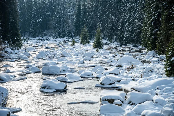 Jizera river in winter time — Stock Photo, Image