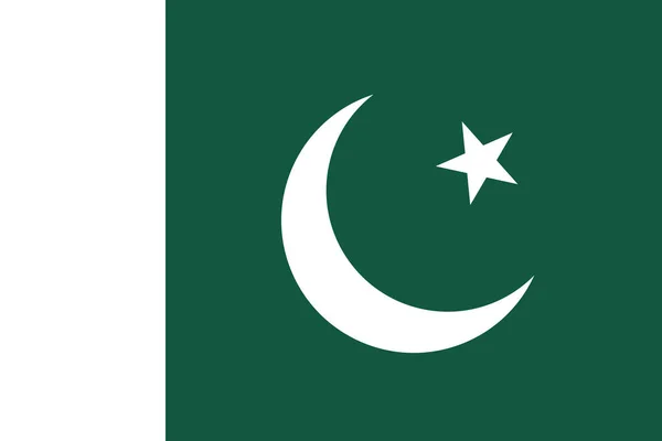 Pakistans officiella flagga — Stock vektor