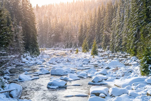 Jizera river in winter time — Stock Photo, Image