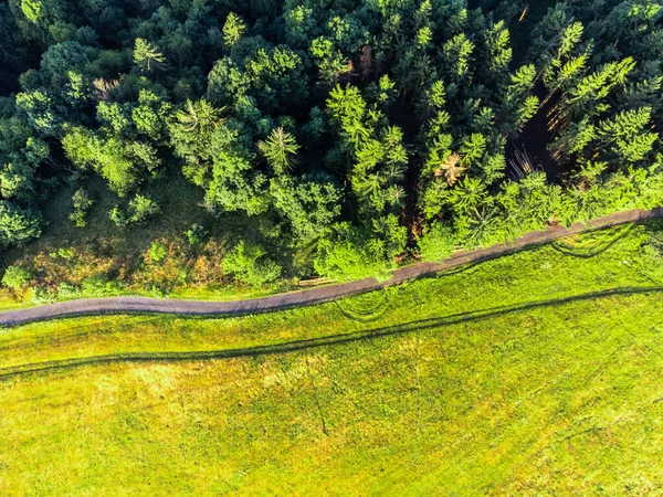 Сельская дорога между зелеными лугами и лесом — стоковое фото