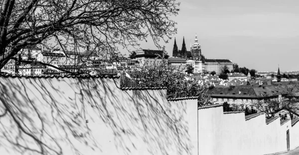 Prague Castle on sunny spring day — Stock Photo, Image