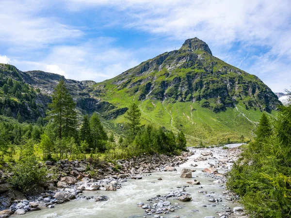 Alp Vadisi 'ndeki Vahşi Kayalık Nehir — Stok fotoğraf