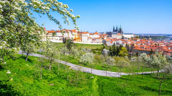 晴れた春の日のプラハ城 — ストック写真
