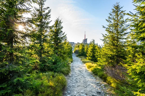 チェコ共和国ベスキディ山脈のライサ山の頂上にあるテレビ送信塔 — ストック写真