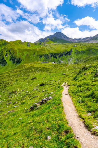 Prati Verdi Sentiero Turistico Ahornspitze Montagna Nelle Alpi Zillertrali Austria — Foto Stock