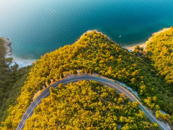 Asphalt Winding Coastal Road Blue Sea Sunny Morning Istria Croatia — Stockfoto